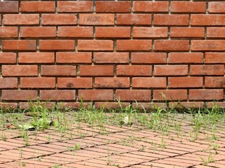 Canvas Print - abandoned place with old brick wall