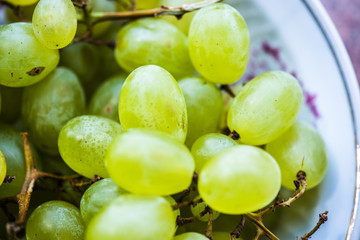 Canvas Print - Organic green grapes on a branch close-up