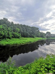 Wall Mural - river in the forest