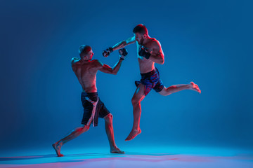 In flight. MMA. Two professional fighters punching or boxing isolated on blue studio background in neon. Fit muscular caucasian athletes or boxers fighting. Sport, competition and human emotions, ad.