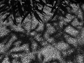 Sticker - shadow of leaf on marble tile floor black and white style