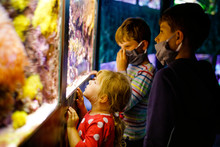 Two Kids Boys And Toddler Girl Visiting Together Zoo Aquarium. Three Children Watching Fishes And Jellyfishes. School Boys Wearing Medicals Masks Due Pandemic Corona Virus Time. Family On Staycation