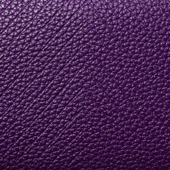 Poster - dark purple leather texture background