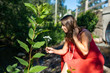 © Valmedia - Selective focus on a shrub growing in the foreground, and in the blurred background a pregnant woman in a red dress kneeling to pick a wild flower.