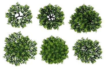 Wall Mural - set of abstract watercolor tree top view for landscape plan and architecture layout