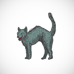 Wall Mural - hand drawn colorful halloween scary evil cat vector illustration. abstract animal sketch. holiday en