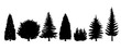 Variety or assortment of vector conifer trees and silhouettes isolated on white background.  Vector