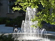 Mała okrągła fontanna wśród zieleni v2