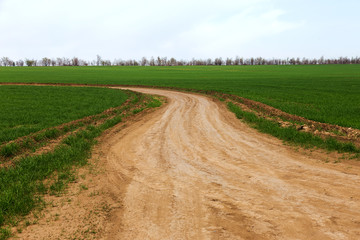 Road in spring day. Country road between green field at summer and blue clean sky. Nature conceptual image.