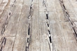 © Elena - Floor tiles with the effect of wooden floors. Selective focus