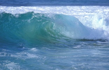 Wall Mural - Wave in Hawaii