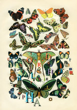 Butterflies And Letters Retro Style Collage
