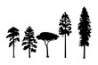 Variety of vector pine trees silhouettes isolated on a white background. 