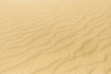  Sand texture close up, background