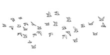 Flocks Of Flying Birds Isolated, Abstract Line Drawing On White Background. Vector Geometric Sketch Illustration