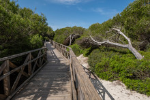 Es Comu Wooden Walkway, Àrea Natural D'Especial Interès, Included Within The Natural Park Of S'Albufera, Mallorca, Balearic Islands, Spain