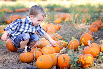 boy at pumpkin patch
