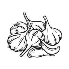 Wall Mural - outline bunch of garlic