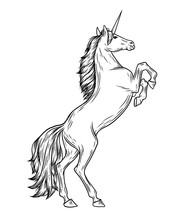 Magic Unicorn Vector Illustration In Vintage Engraving Style. Stylish Symbol, Artwork, Tattoo. Horse Vector Illustration In Hand Drawn Retro Style.