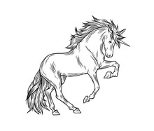 Magic Unicorn Vector Illustration In Vintage Engraving Style. Stylish Symbol, Artwork, Tattoo. Horse Vector Illustration In Hand Drawn Retro Style.