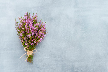 bouquet of pink common heather flowers on blue background. copy space for text, top view. flat lay