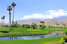 Green Oasis In The Desert - Golf Course With Palm Trees And Pond / River In Palm Spring.