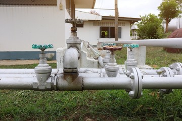 Poster - water pipe in the garden