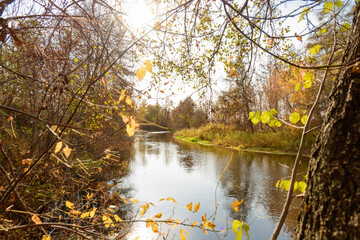 Wall Mural - Landscape images of autumn nature near the village of Shigony