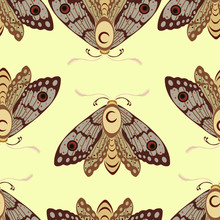 Seamless Background With Decorative Moths. Design Of Wallpapers, Textiles, Animal Bedding For Children And Adults, Printing On T-shirts And Clothes, Packaging Of Goods And Boxes. Vector Stock