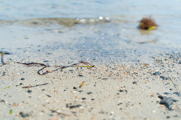 sand on the beach