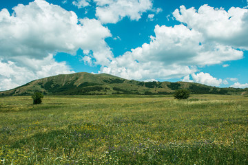 Wall Mural - field and hill