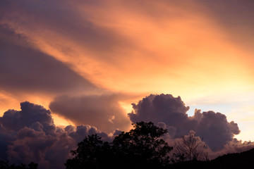 Wall Mural - Sky with clouds during sunset above the tree