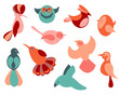 Set of abstract birds. Vector collection of different birdies like woodpecker for greeting card and other design.