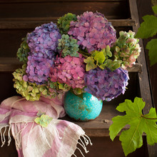 A Multi-colored Bouquet Of Hydrangeas In A Vase On An Old Wooden Staircase.