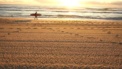 Wall Mural - one surfer walking on the beach early morning with sunrise sunshine