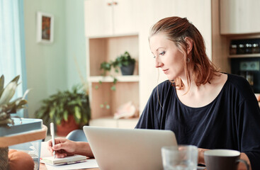 Homeoffice, a woman working on PC