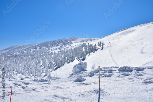 冬晴れの蔵王温泉スキー場と樹氷群 Buy This Stock Photo And Explore Similar Images At Adobe Stock Adobe Stock