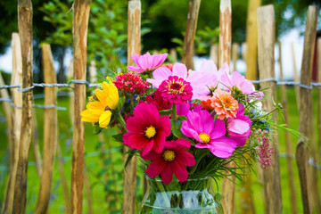 bouquet of colorful wild flowers with sunflowers and cosmos flowers - summer background and greeting