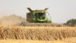 Combine Harvester Harvesting Crops in a Field.  Selective Focus on the Crops in Foreground.