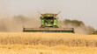Combine Harvester Picking Crops in a Field.  Selective Focus on the Crops in Foreground.