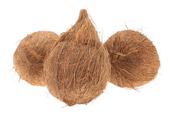 Coconut. Coconut isolated on white background. Full depth of field.