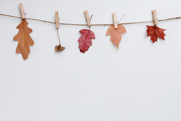 Acorn, oak and maple leaves fastened with clothespin on craft rope. Autumn garland. Isolated objects on white, composition, copy space. Fall season, decoration concept