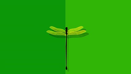 Wall Mural - Hand drawn flying dragonfly animation. Insect, summer concept. Copy space. Bright green background.