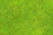 Green lawn texture and background