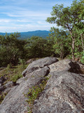 Fototapeta Natura - Summer days on the Mountains. This photo was taken on Crotched Mountain in Francestown New Hampshire, in the distance is North Pack and Pack Monadnock.