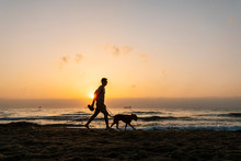 Silhouette Man Walking With His Dog At Beach During Dawn