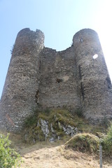 Wall Mural - Château d'Alleuze