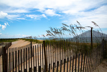Looking Down The Beach Past The Sand Dunes Under A Blue Sky With A Sand Fence