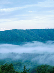 Wall Mural - fog in the valley below a scenic overlook along the skyway motorway in the talladega national forest, alabama, usa