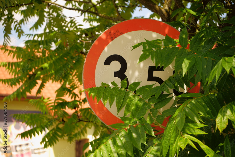 road sign hidden in the bushes - obrazy, fototapety, plakaty 